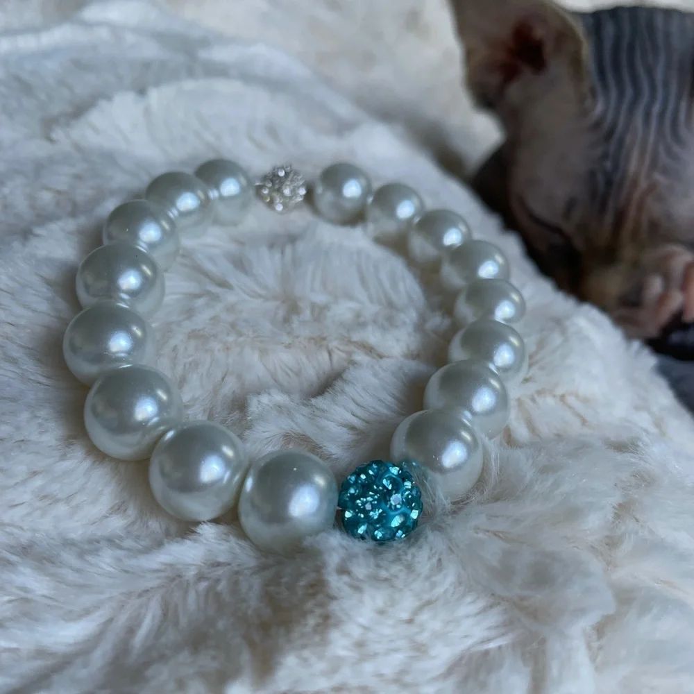 Magnetic clasp cat necklace/dog necklace